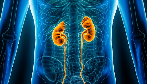 IGA-Nephropathy