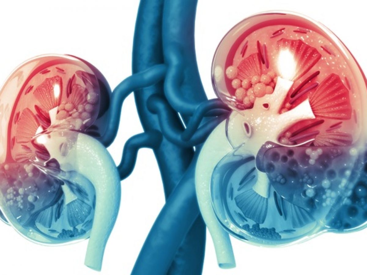 ayurvedic-kidney-treatment