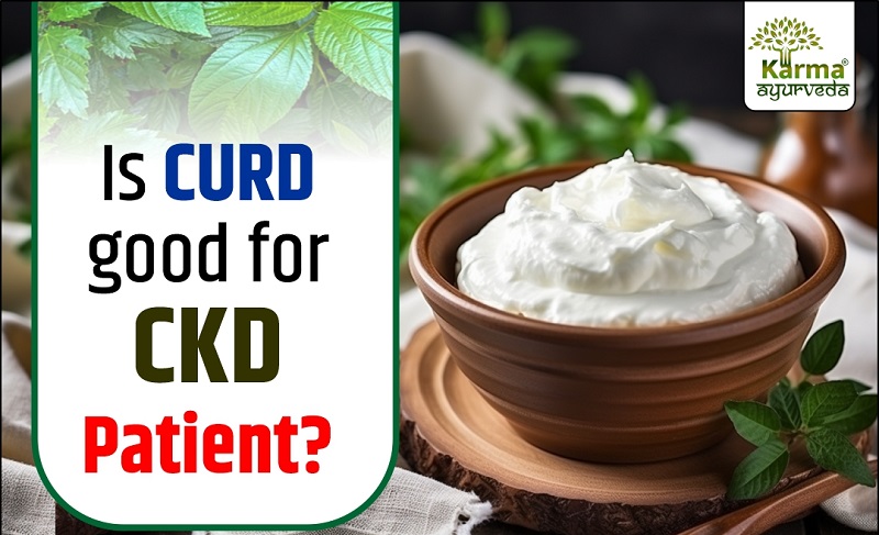 Is Curd Good for CKD Patients?