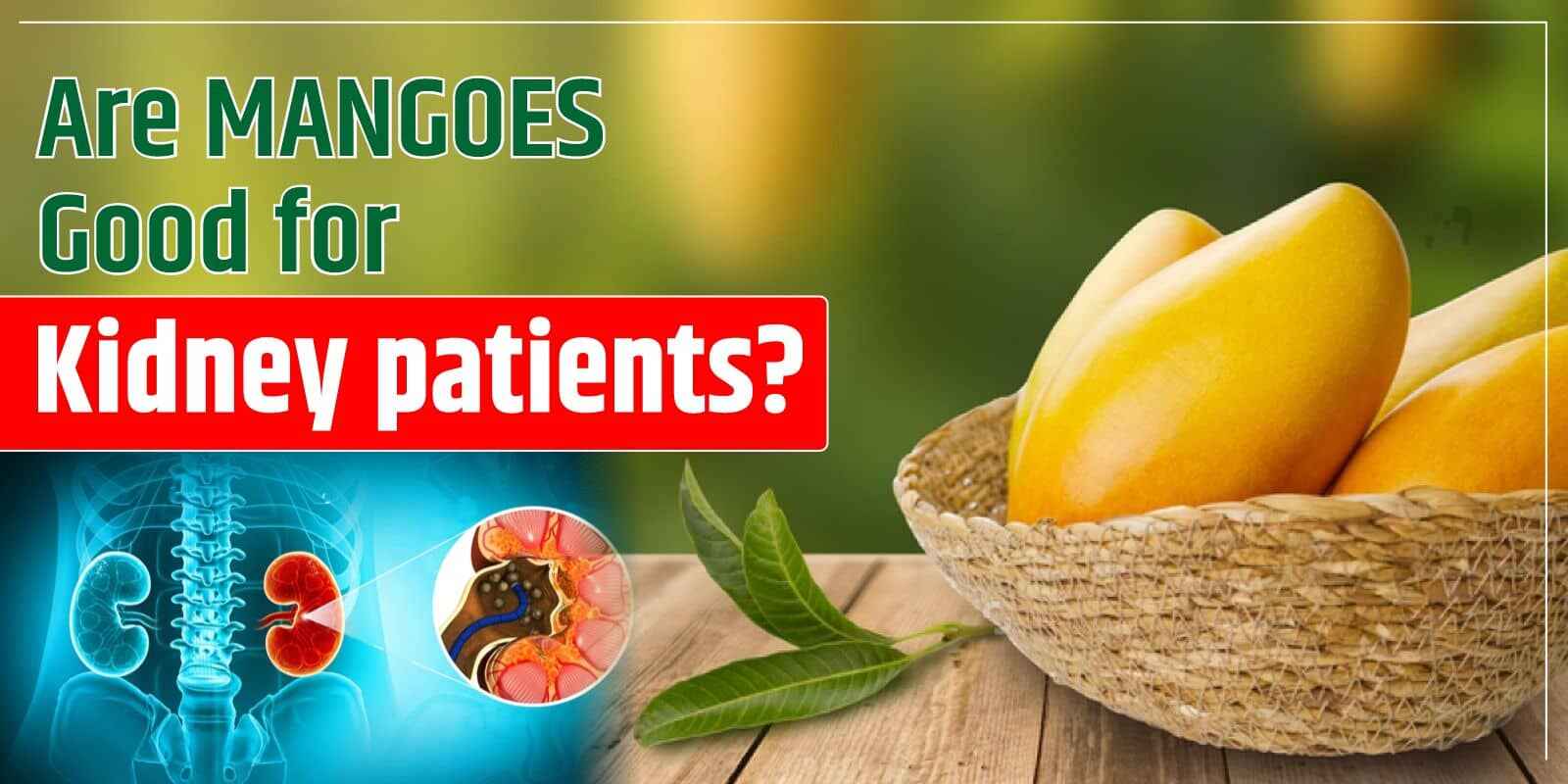 is-mango-good-for-kidney-patients