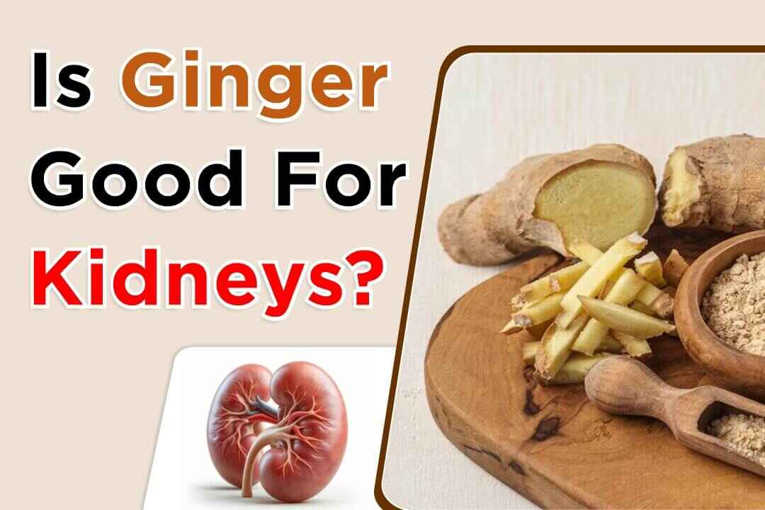 ginger-good-for-kidney-failure