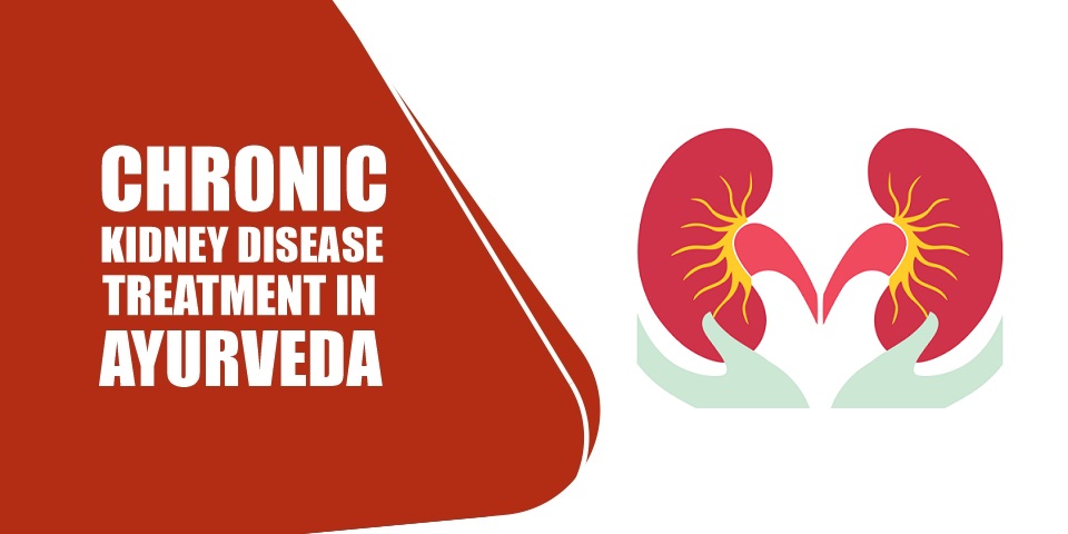 Ayurvedic Medicine For Chronic Kidney Disease