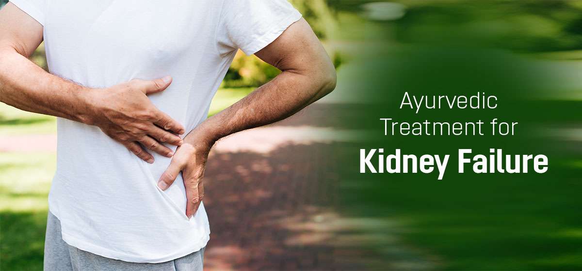 Ayurvedic Medicine For Kidney Failure