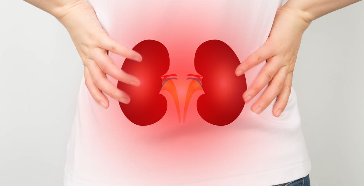 ayurvedic-treatment-for-kidney-failure