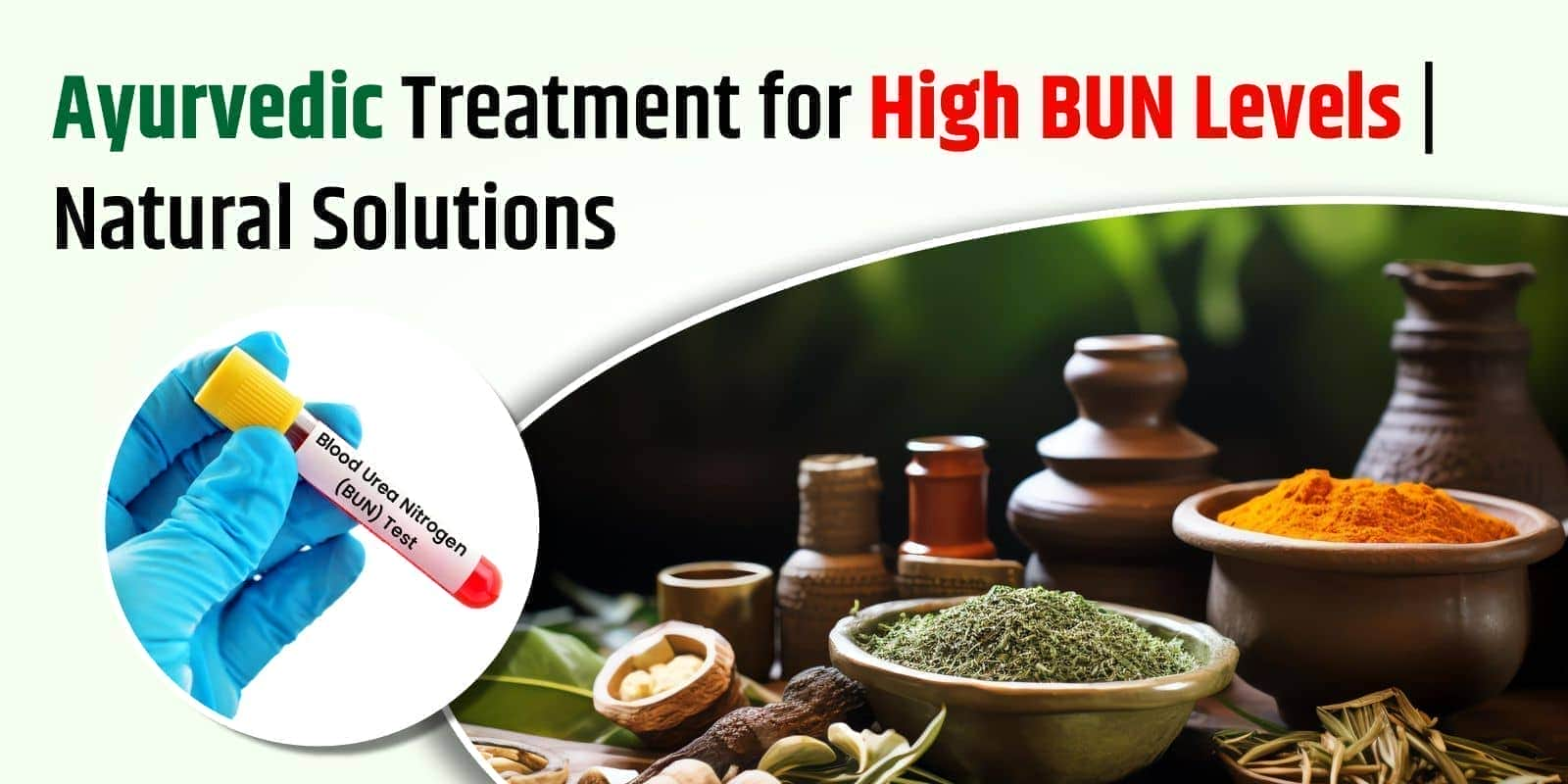 Ayurvedic Medication & Treatment For High BUN Level