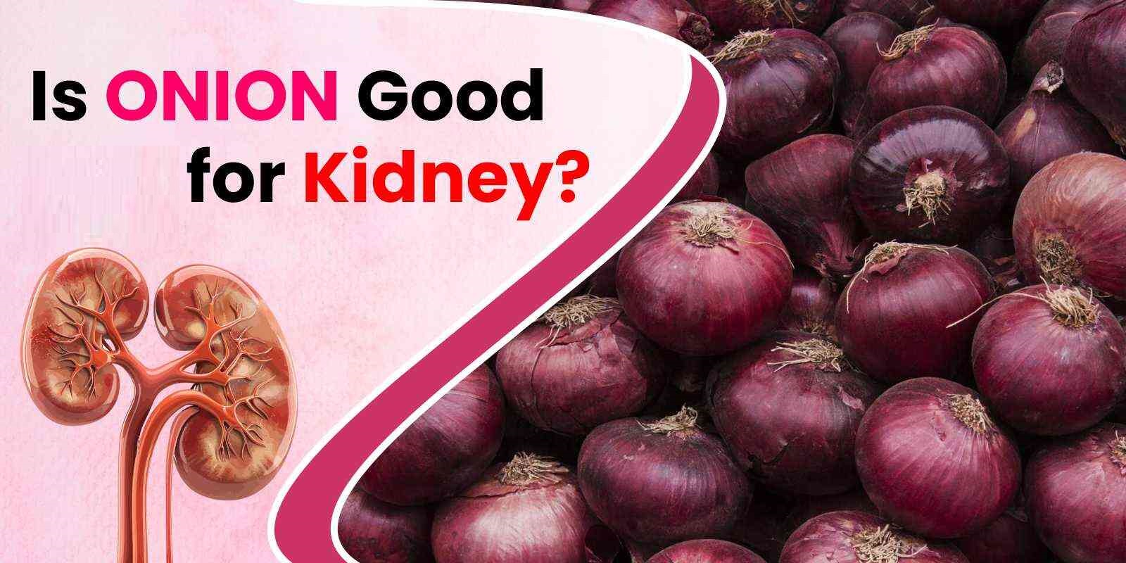 is-onion-good-for-creatinine