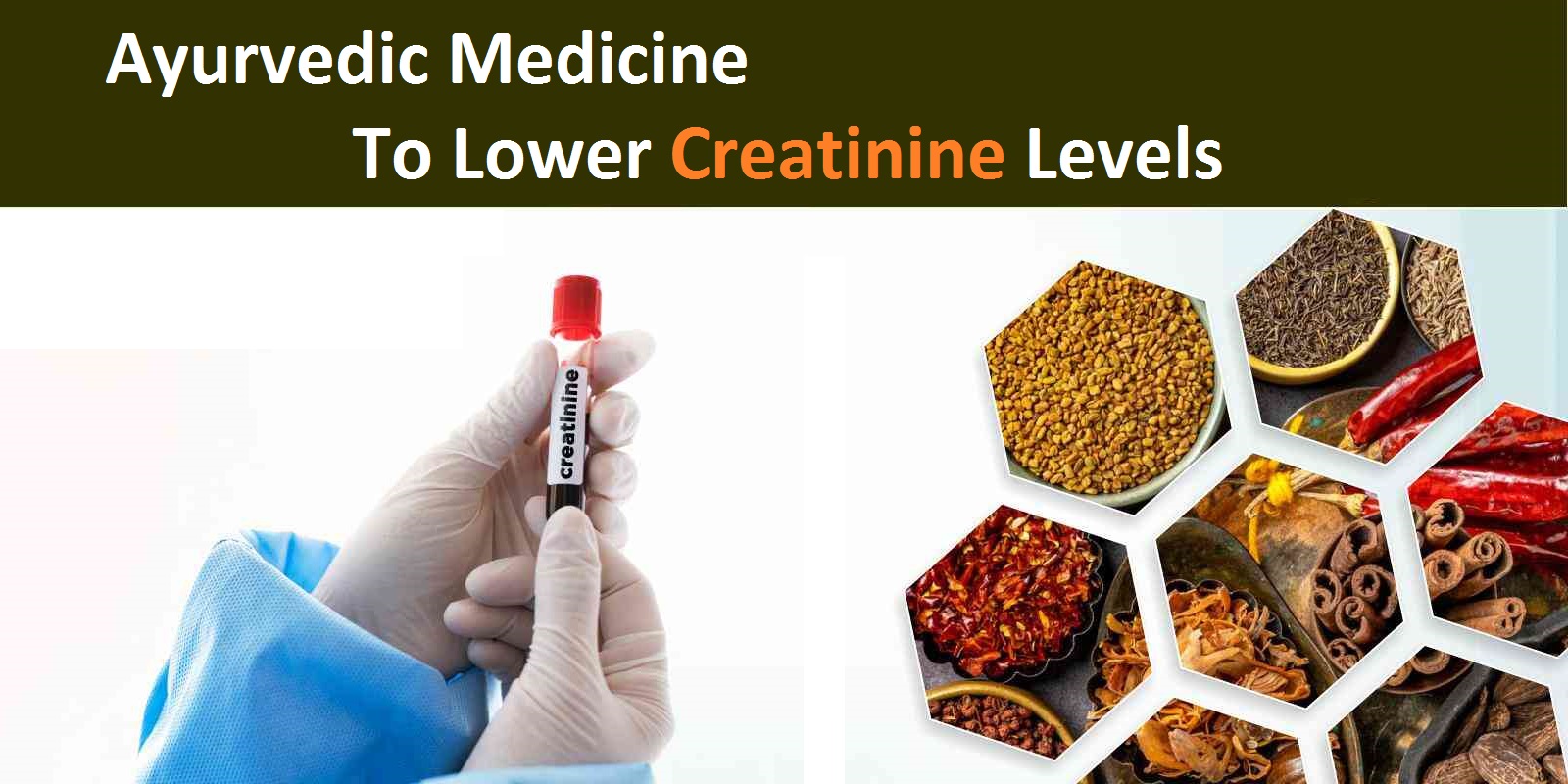 ayurvedic-medicine-to-lower-creatinine-levels