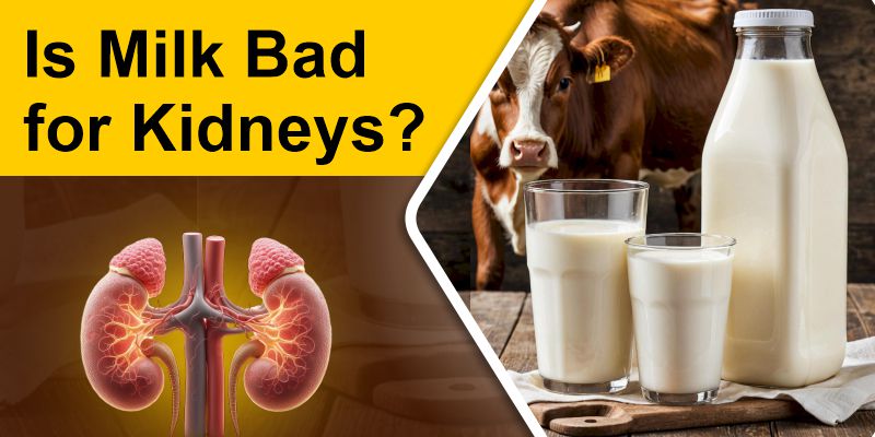 is-milk-bad-for-kidneys