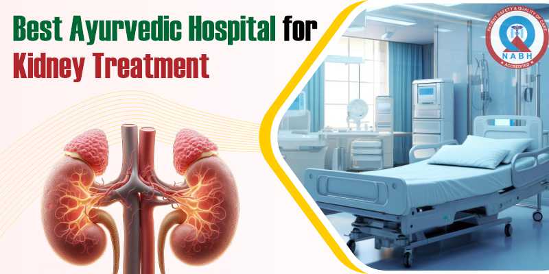 best-ayurvedic-hospital-for-kidney-treatment