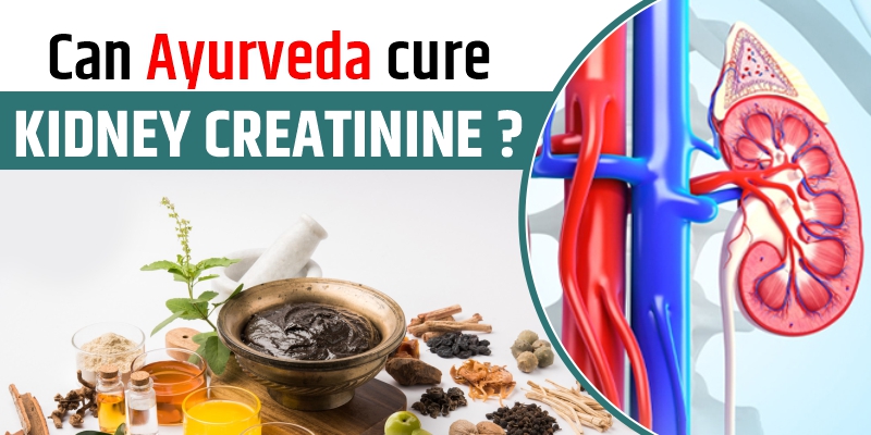 can-ayurveda-cure-kidney-creatinine