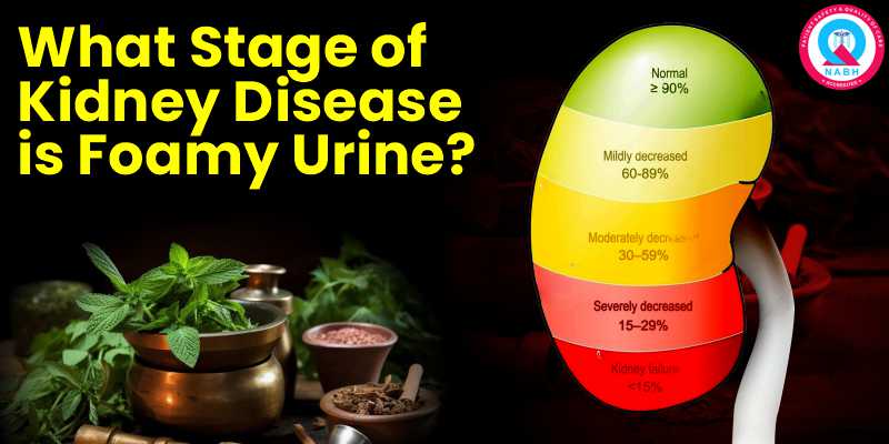 What Stage of Kidney Disease is Foamy Urine?