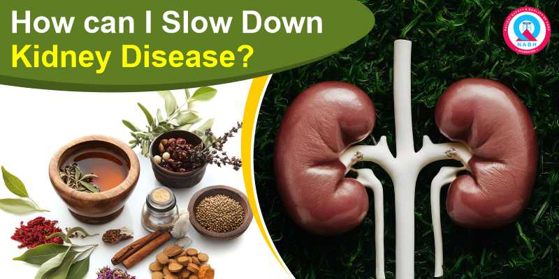 how-can-i-slow-down-kidney-disease