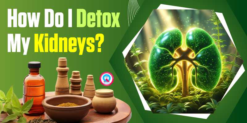 How Do I Detox My Kidneys?