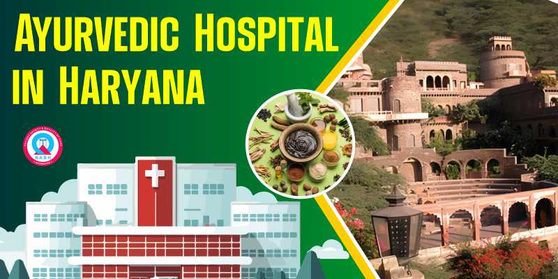 Ayurvedic Hospital in Haryana