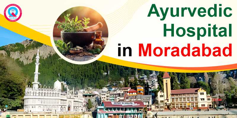 Ayurvedic Hospital in Moradabad