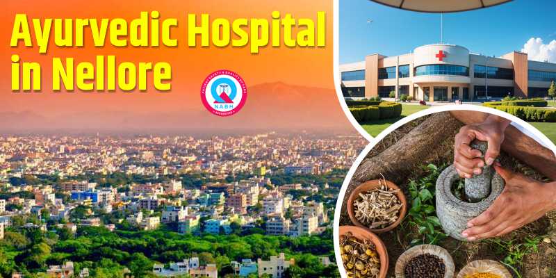 Ayurvedic Hospital in Nellore