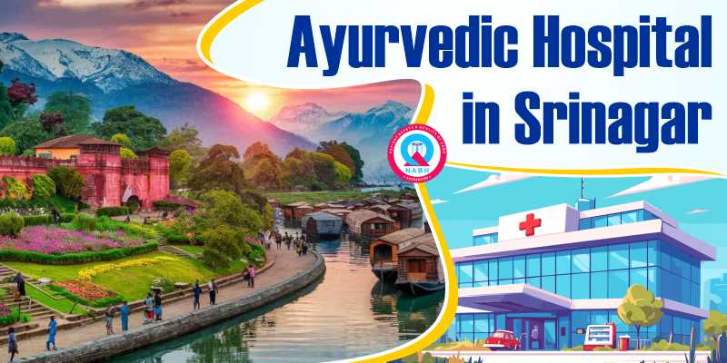 Ayurvedic Hospital in Srinagar