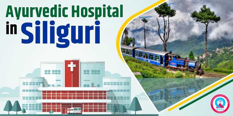 Ayurvedic Hospital in Siliguri