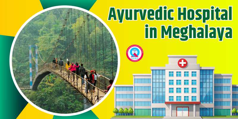 Ayurvedic Hospital in Meghalaya