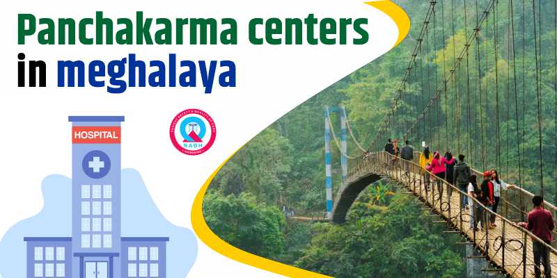 Panchakarma Centers in Meghalaya