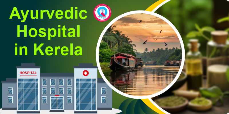 Ayurvedic Hospital in Kerela